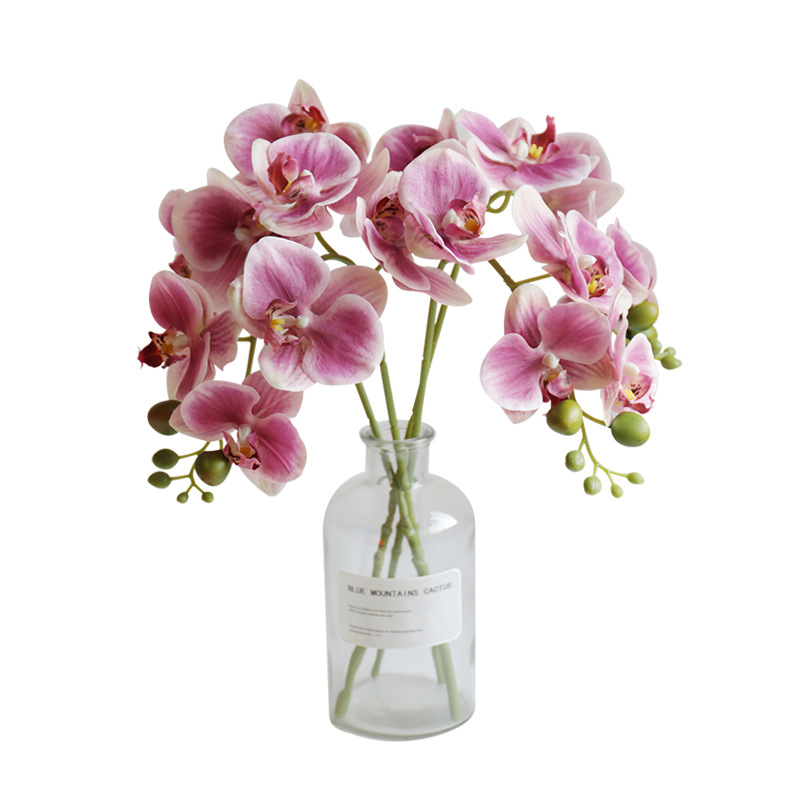 인공 난초 꽃 45cm/17inch 긴 줄기 가짜 호접 - Baby Breath Dried 리뷰 및 가격